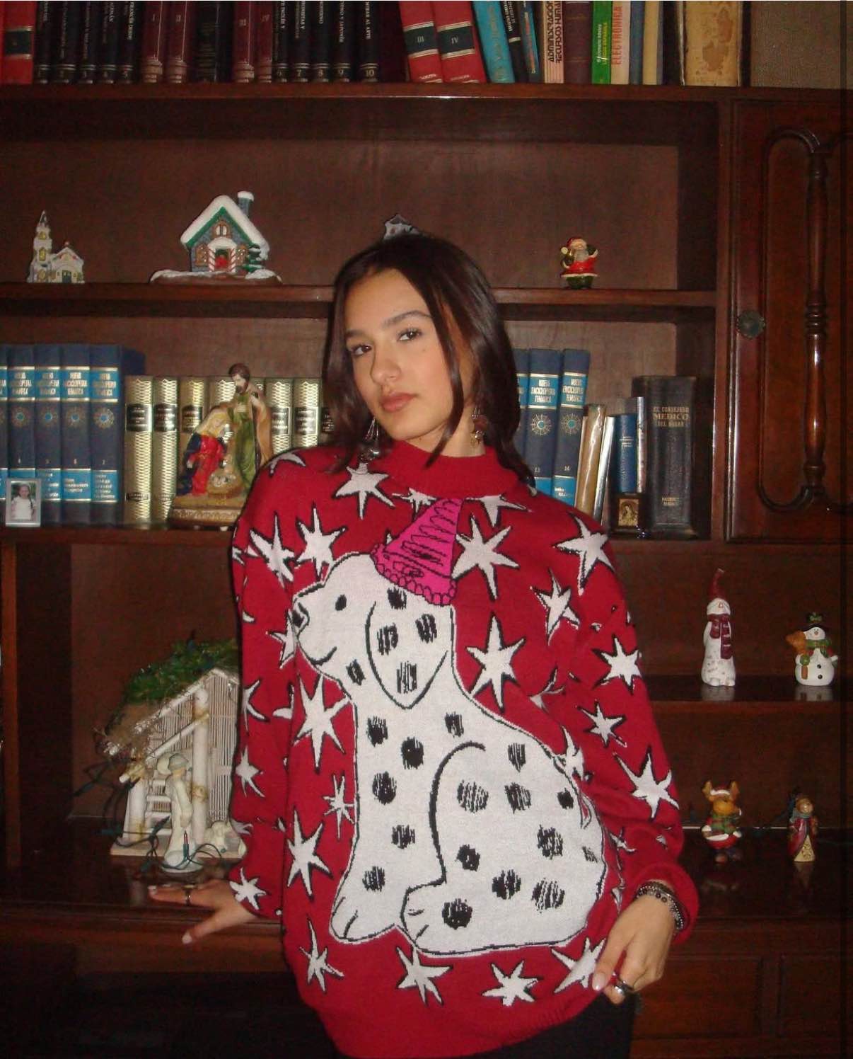 Sweater Doggie